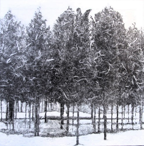 Grove